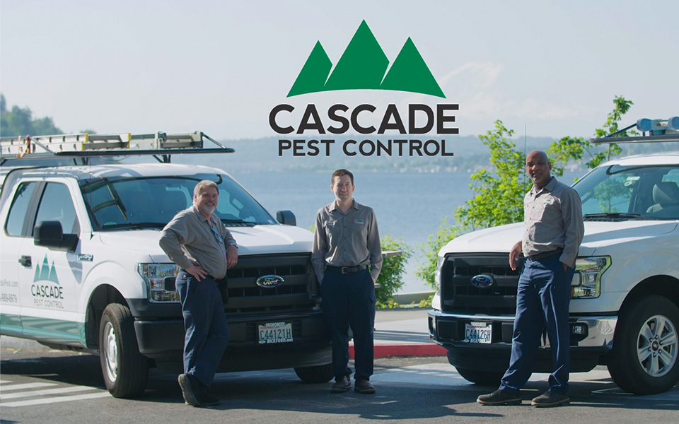 Cascade Pest Control — Content
